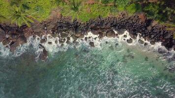 aéreo Visão zangão 4k cenas do coco árvore Colina às mirissa, sri lanka. video