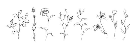Set of floral hand drawn illustration vector