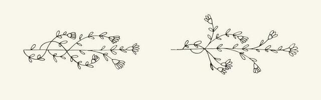 Set of wild floral hand drawn illustration vector