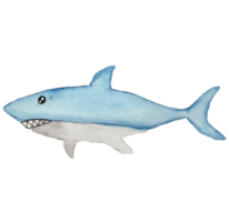 tiburón debajo el mar acortar Arte elemento transparente antecedentes png