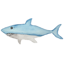 Shark Under The Sea Clip art Element Transparent Background png