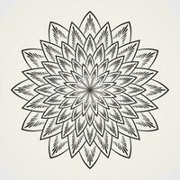 Simple flower pattern mandala with many petals decorated with specks vector