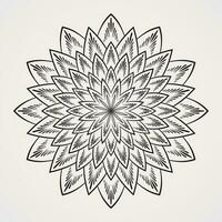 Simple flower pattern mandala with many petals decorated with specks vector