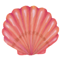 coquille sous-marin agrafe art élément transparent Contexte png