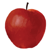 manzana rojo Fruta acortar Arte elemento transparente antecedentes png