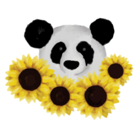 panda en diferente poses acortar Arte elemento transparente antecedentes png