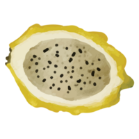 draak fruit geel fruit klem kunst element transparant achtergrond png