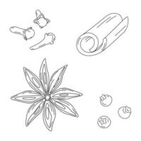 Hand drawn set of spices for mulled wine. Cinnamon stick, cloves, star anise and allspice. Vector. vector