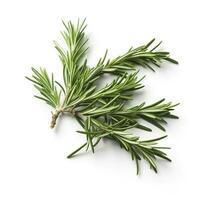 Fresh green organic rosemary leaves and pepper isolated on white background. natural transparent shadow, Ingredient, spice for cooking. collection for design, generate ai photo