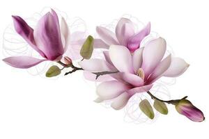 pink magnolia on transparent background , generate ai photo