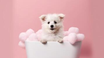 Cute little puppy in bathroom. Illustration photo