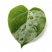 Verdant green leaf with water drops isolated on white background, generate ai photo