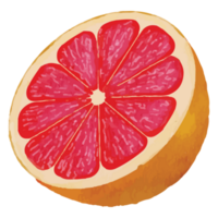 orange frukt röd frukt klämma konst element transparent bakgrund png