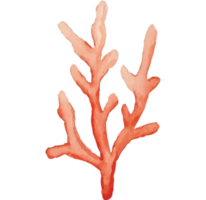 alga marina sotto il mare clip arte elemento trasparente sfondo png