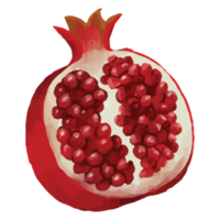 granatäpple röd frukt klämma konst element transparent bakgrund png