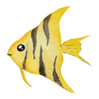 mare pesce trasparente sfondo png