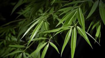 natural antecedentes con bambú. ilustración ai generativo foto