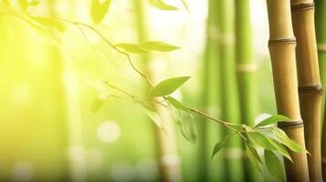 Natural background with bamboo. Illustration photo