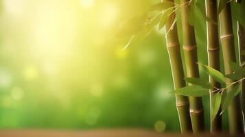 Natural background with bamboo. Illustration photo