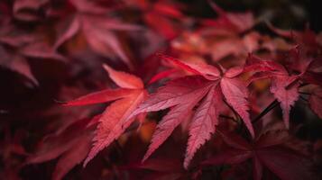 otoño rojo hojas antecedentes. ilustración ai generativo foto