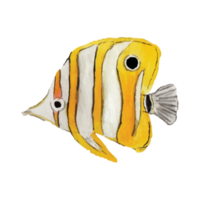 Meer Fisch transparent Hintergrund png