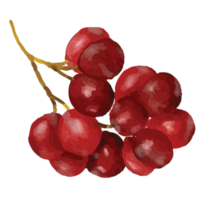 rouge les raisins rouge fruit agrafe art élément transparent Contexte png