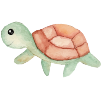 tortue en dessous de le mer agrafe art élément transparent Contexte png