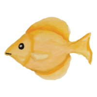 Meer Fisch transparent Hintergrund png