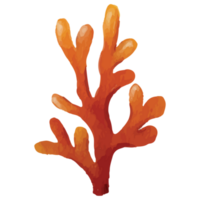 coral debajo el mar acortar Arte elemento transparente antecedentes png