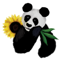 Panda dans différent pose agrafe art élément transparent Contexte png