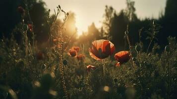 A stunning photo captures the golden hour in a field of radiant red poppies, symbolizing the beauty, resilience, and strength of nature, generate ai