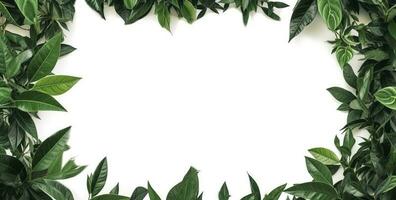 green plant and leaves frame isolated on white background,  for wedding invitations and greeting cards, generate ai photo