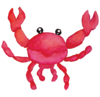 Crabe en dessous de le mer agrafe art élément transparent Contexte png