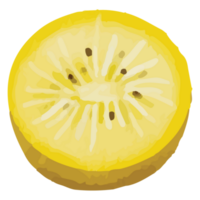 kiwi amarillo frutas acortar Arte elemento transparente antecedentes png