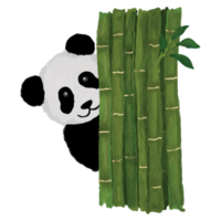 panda in verschillend poses klem kunst element transparant achtergrond png