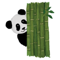 Panda dans différent pose agrafe art élément transparent Contexte png