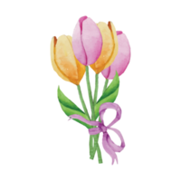 Tulips Flower on transparent background png