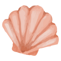 Concha debaixo a mar grampo arte elemento transparente fundo png