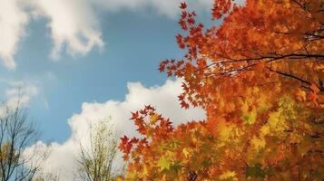 hermosa otoño paisaje con. vistoso follaje en el parque. que cae hojas natural fondo, generar ai foto