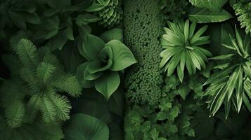 Earth Day and World Environment Day, Spring, Tropical tree leaves and branch with beautiful green forest background, generate ai photo
