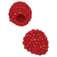 baie rouge fruit agrafe art élément transparent Contexte png