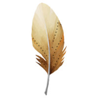 Feather Clip art Element Transparent Background png