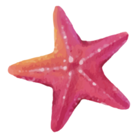 Starfish Underwater Clip art Element Transparent Background png