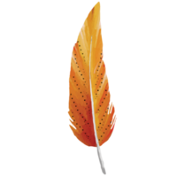 Feather Clip art Element Transparent Background png