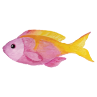 Sea Fish Transparent Background png