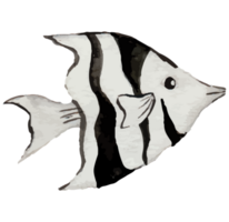 pescado debajo el mar acortar Arte elemento transparente antecedentes png