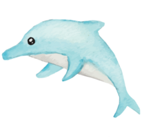 delfin under de hav klämma konst element transparent bakgrund png