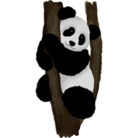 Panda im anders posiert Clip Kunst Element transparent Hintergrund png