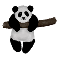 Panda im anders posiert Clip Kunst Element transparent Hintergrund png