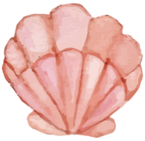 coquille en dessous de le mer agrafe art élément transparent Contexte png